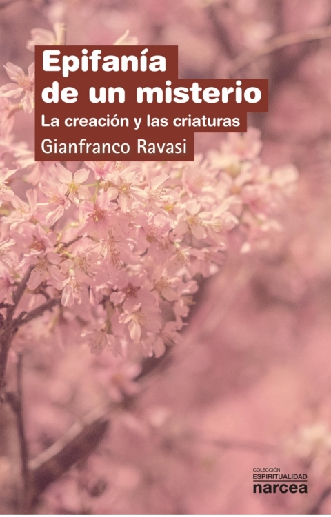 Cover image for book Epifanía de un misterio