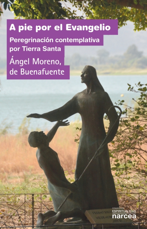 Cover image for book A pie por el Evangelio