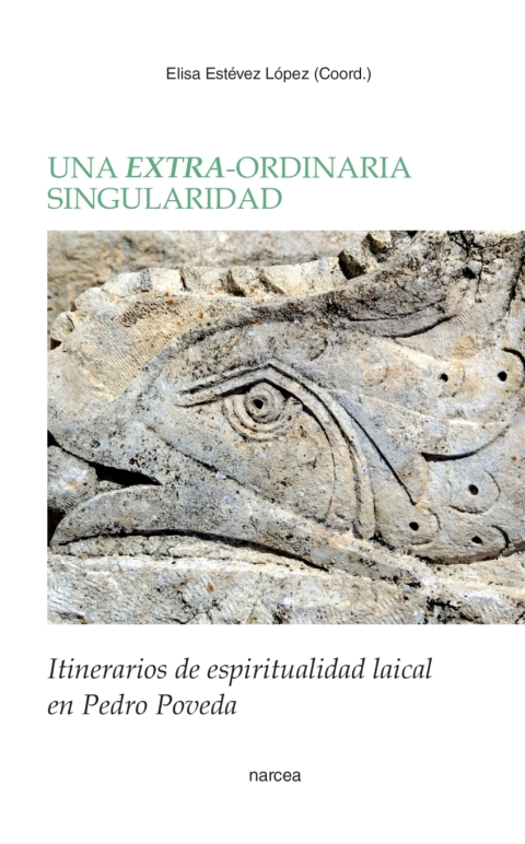 Cover image for book Una extra-ordinaria singularidad