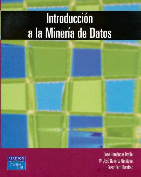 Cover image for book INTRODUCCION A LA MINERIA DE DATOS