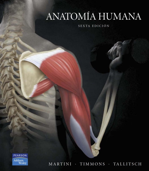 Cover image for book ANATOMIA HUMANA