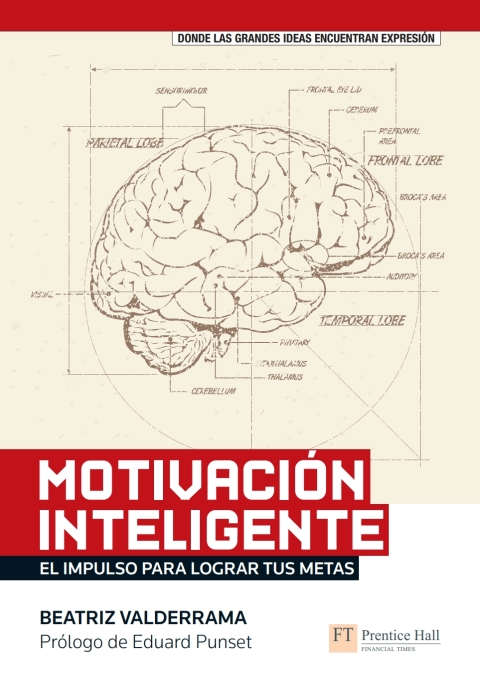 Cover image for book MOTIVACION INTELIGENTE