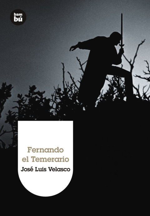Cover image for book Fernando el Temerario