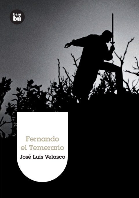 Cover image for book Fernando el Temerario