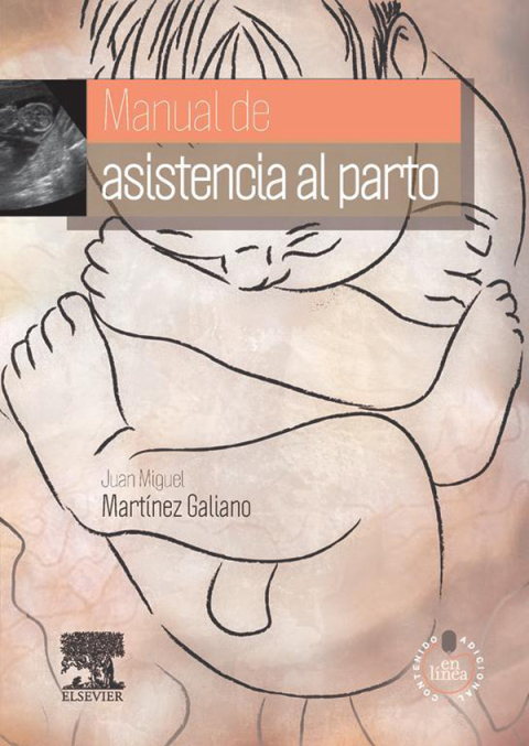 Cover image for book Manual de asistencia al parto