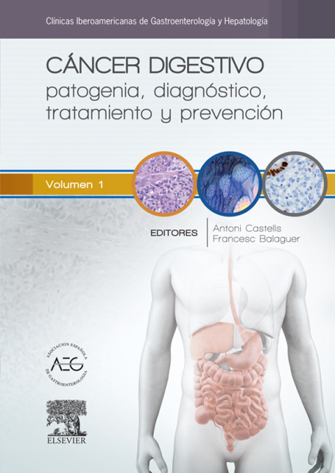Cover image for book Cáncer digestivo: patogenia, diagnóstico, tratamiento y prevención
