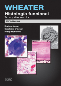 صورة الغلاف: Wheater. Histología funcional 6th edition 9788490226889