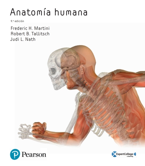 Cover image for book Anatomía Humana