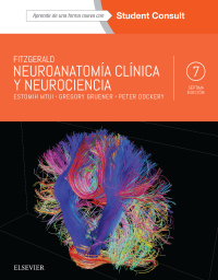 Titelbild: Fitzgerald. Neuroanatomía clínica y neurociencia 7th edition 9788491131021