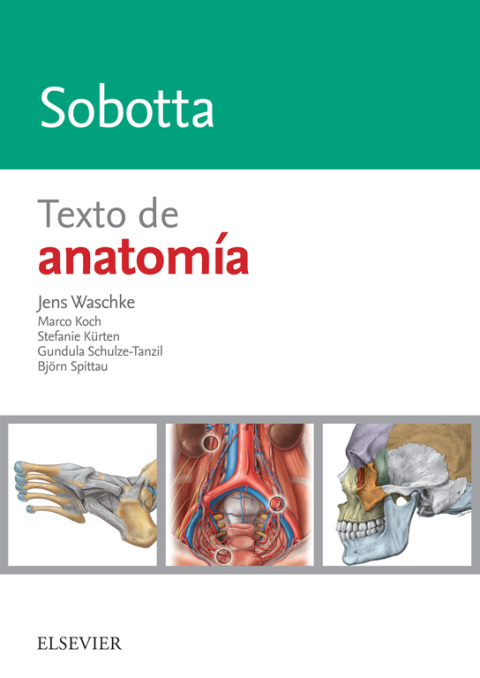 Cover image for book Sobotta. Texto de anatomía