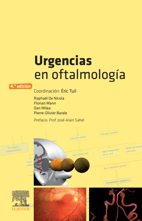 Cover image for book Urgencias en oftalmología
