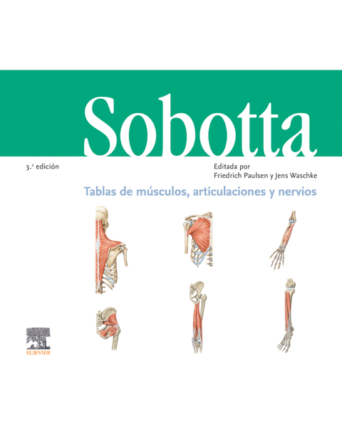 Cover image for book Sobotta. Cuaderno de tablas. Músculos, articulaciones y nervios
