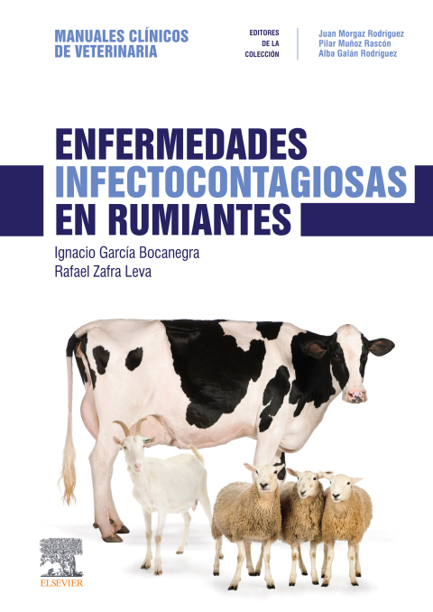 Cover image for book Enfermedades infectocontagiosas en rumiantes