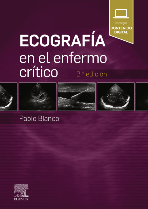 Cover image for book Ecografía en el enfermo crítico