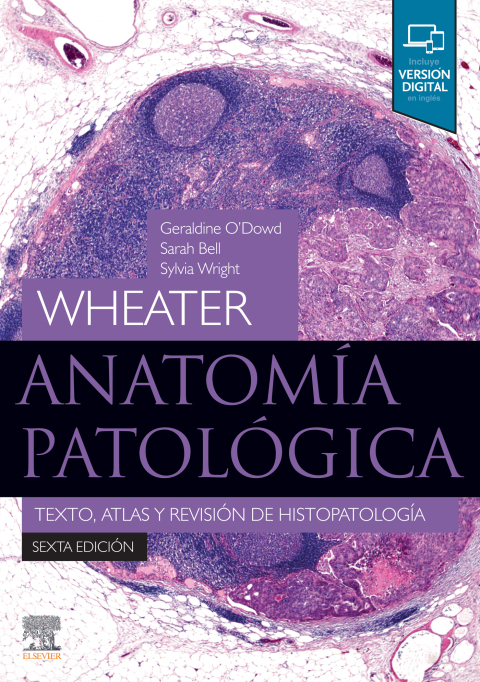 Cover image for book Wheater. Anatomía patológica