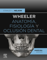 Cover image: Wheeler. Anatomía, fisiología y oclusión dental 11th edition 9788491138068
