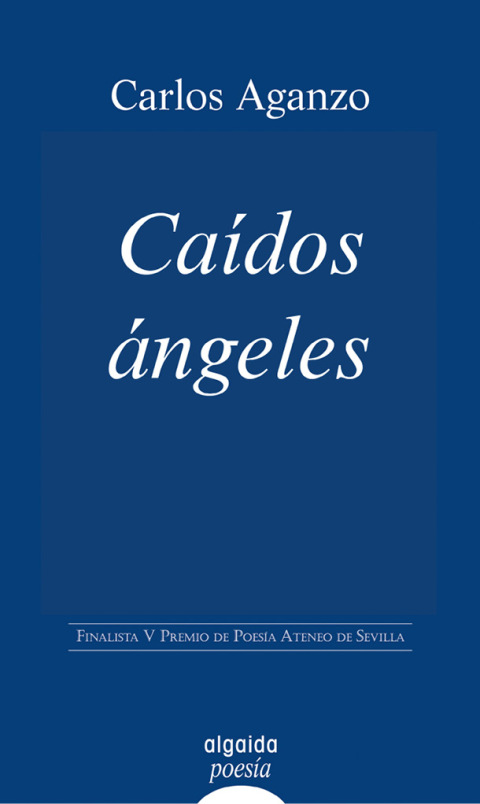 Cover image for book Caídos ángeles