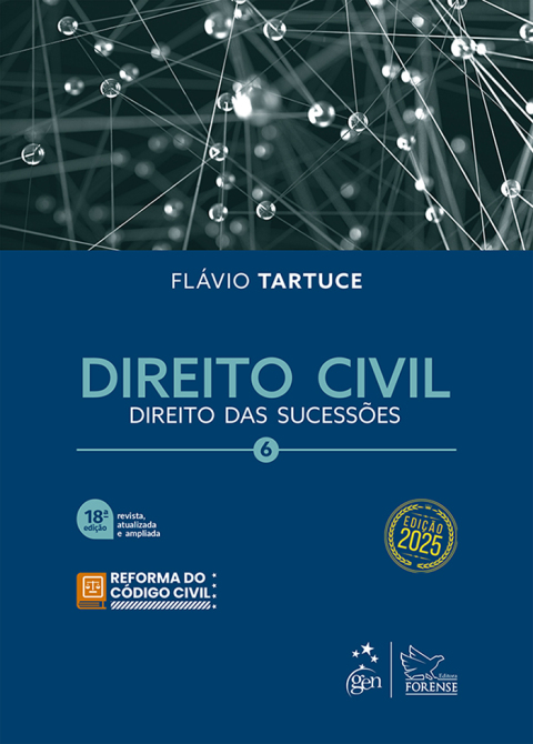 Direito civil, v. 6