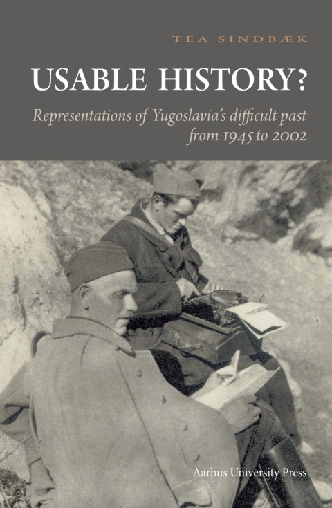 Cover image for book Usable History?