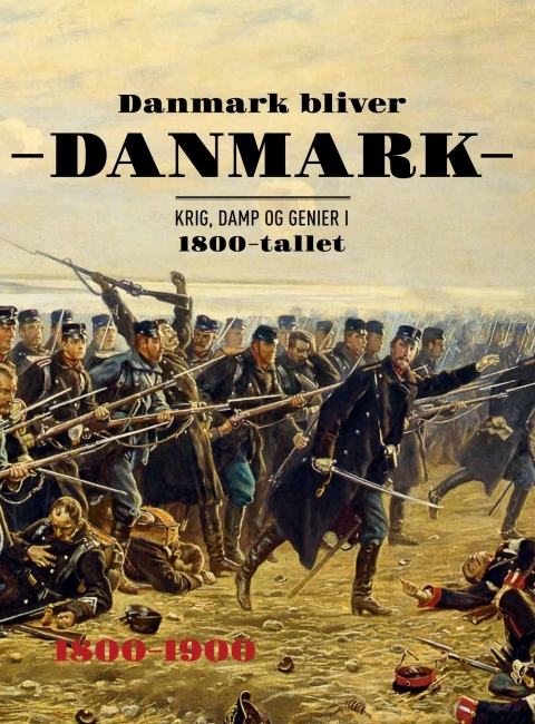 Cover image for book Danmark bliver Danmark
