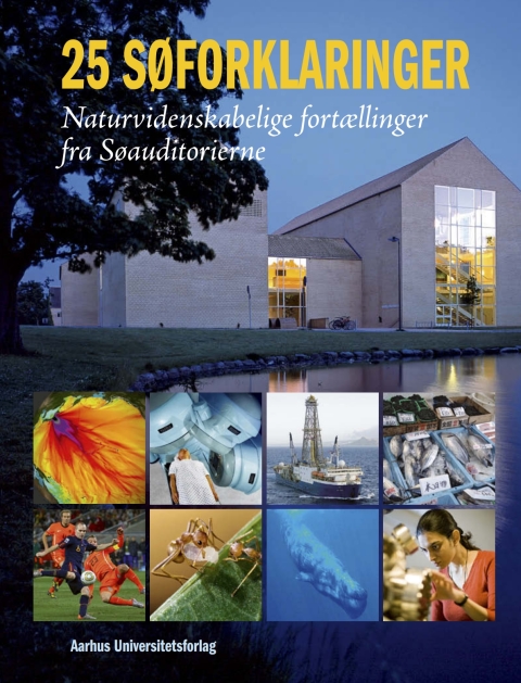 Cover image for book 25 søforklaringer