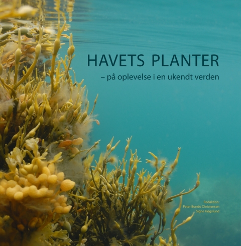 Cover image for book Havets planter