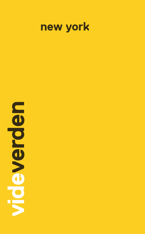 Cover image for book new york