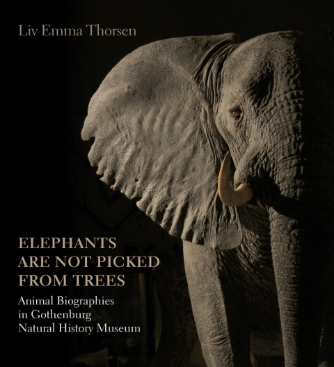 Cover image for book Elephants are not picked from trees