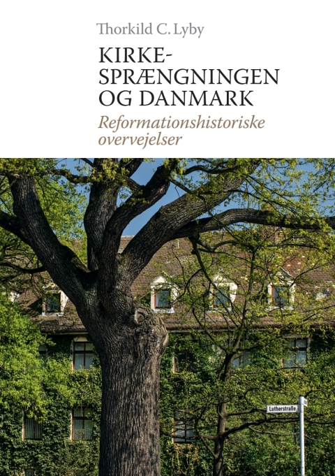 Cover image for book Kirkesprængningen og Danmark