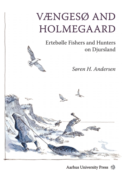 Cover image for book Vængesø and Holmegaard