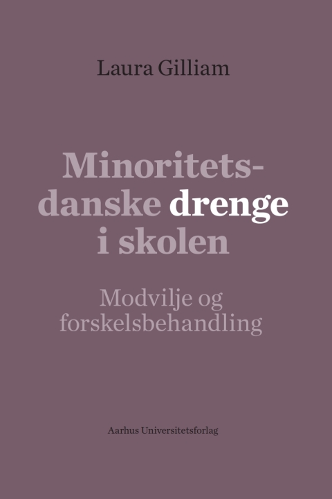 Cover image for book Minoritetsdanske drenge i skolen
