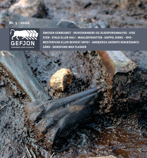 Cover image for book Gefjon 5