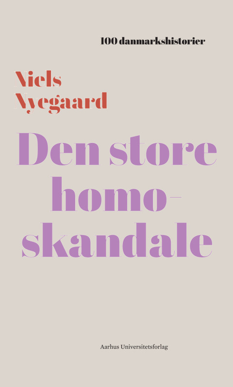 Cover image for book Den store homoskandale
