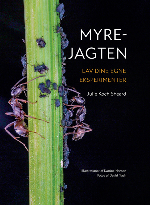 Cover image for book Myrejagten