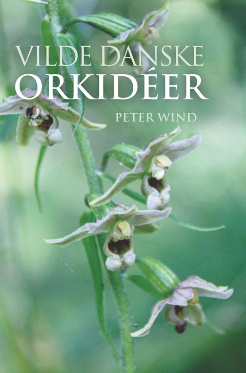 Cover image for book Vilde danske orkidéer