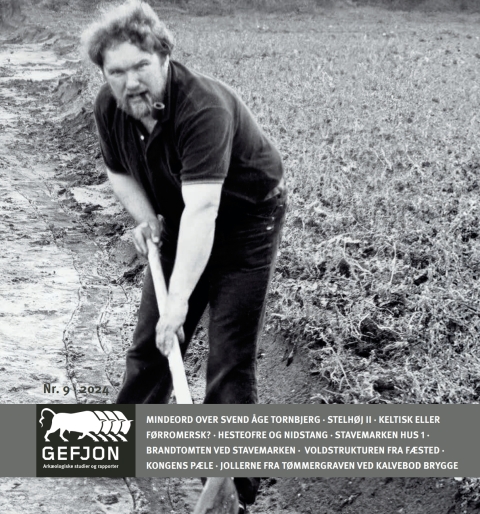 Cover image for book Gefjon 9