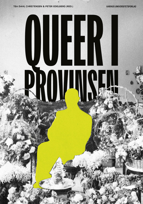 Cover image for book Queer i provinsen