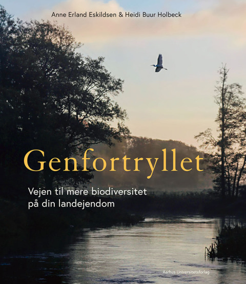 Cover image for book Genfortryllet