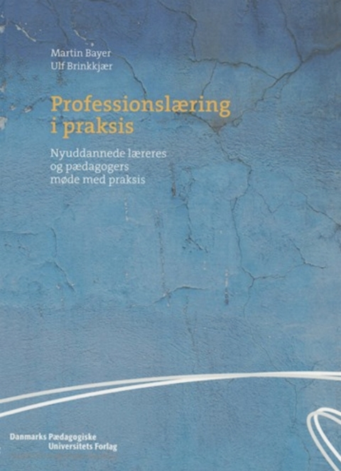 Cover image for book ProfessionslAering i praksis