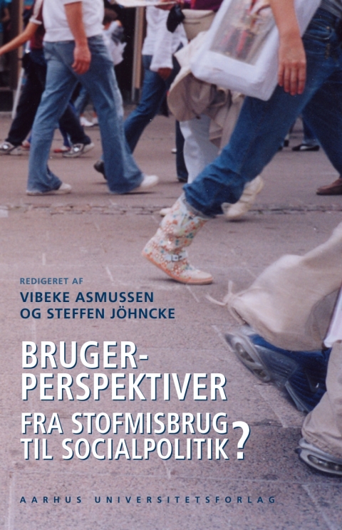Cover image for book Brugerperspektiver