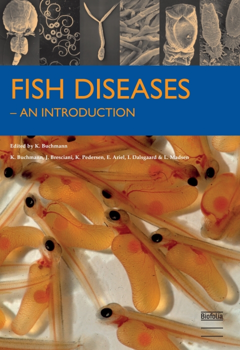 Cover image for book Fish Diseases
