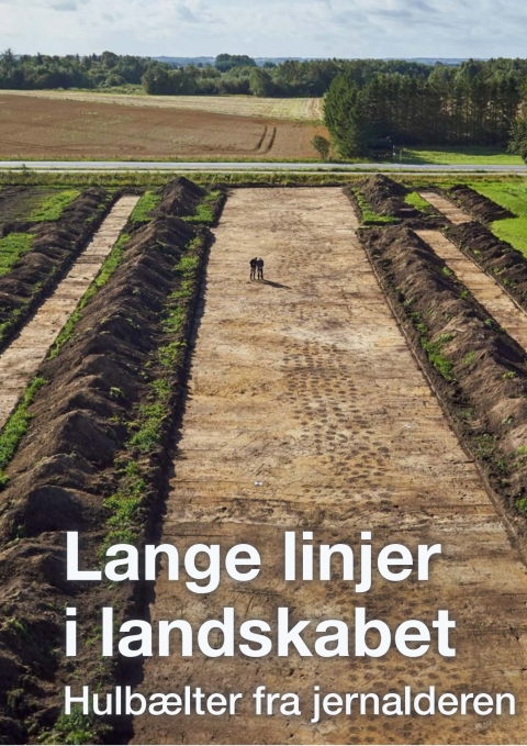 Cover image for book Lange linjer i landskabet