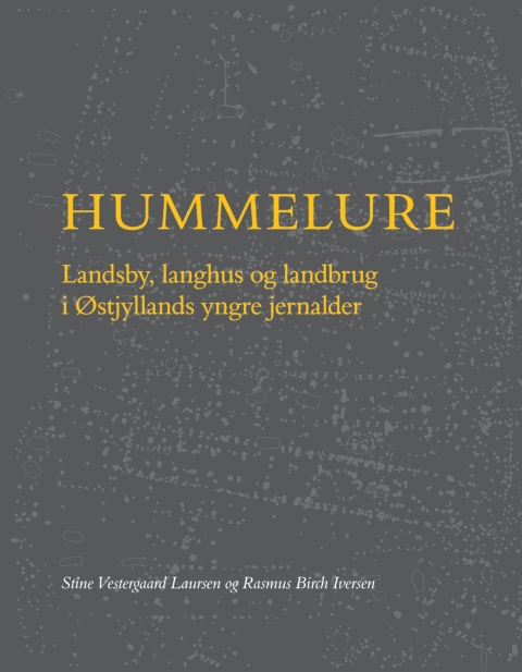Cover image for book Hummelure