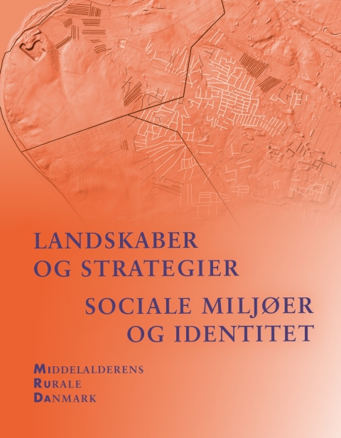 Cover image for book Landskaber og strategier. Sociale miljøer og identitet