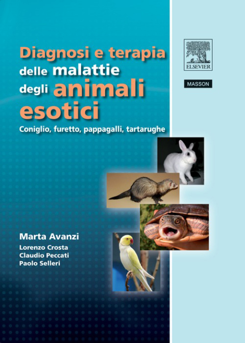 Cover image for book DIAGNOSI E TERAPIA DELLE MALATTIE DEGLI ANIMALI ESOTICI