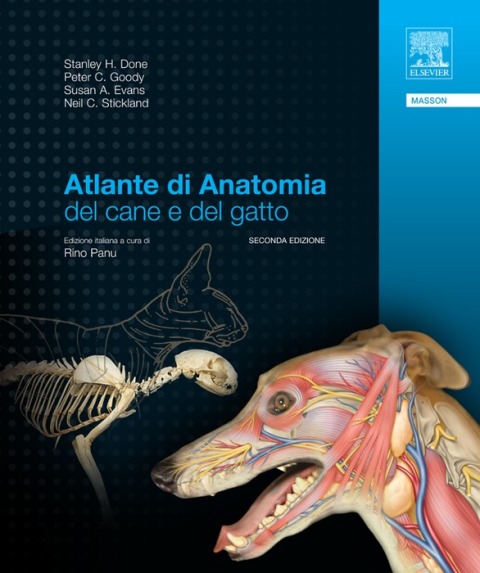 Atlante di anatomia del cane e del gatto 