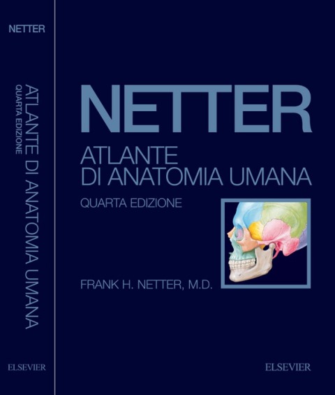 Cover image for book Atlante di anatomia umana