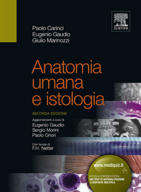 Cover image for book Anatomia umana e istologia