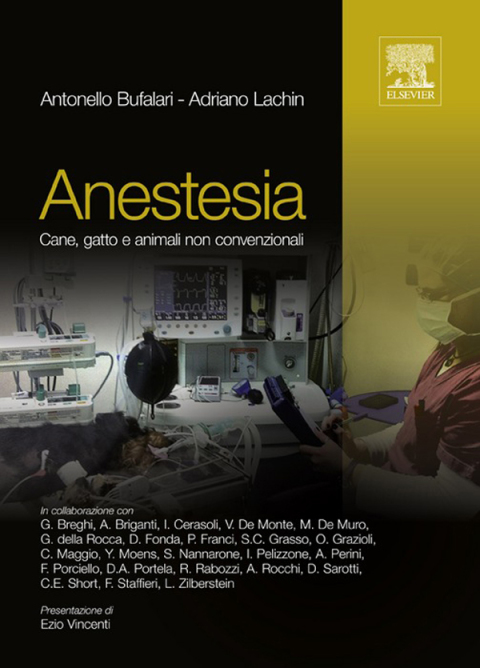 Cover image for book Anestesia