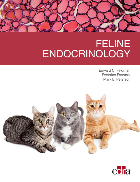 Feline endocrinology 